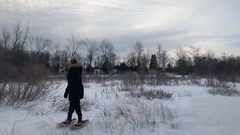 Staying by the Lakeside Cottages