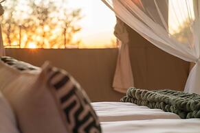 Cape Vulture Lodge