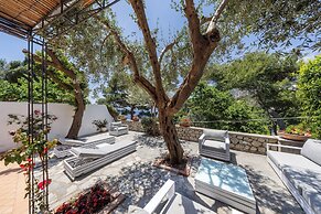 Oliveto Capri