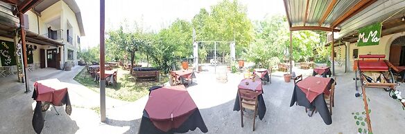 MoMa RoofGarden