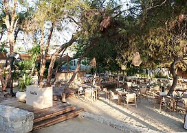 Maxx Royal Bodrum
