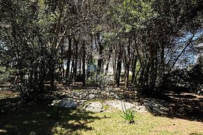 Tenuta Belvedere