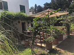 Tenuta Belvedere
