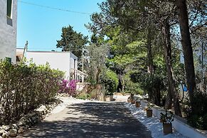 Tenuta Belvedere