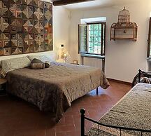 Molin Barletta, Private Pool, Nature