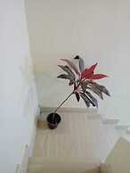 Flower Pyramids Guest House