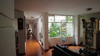 Nora's Laureles