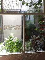 Nora's Laureles