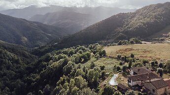 Solo Palacio