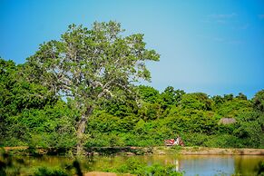 Leopard Reach Yala by Seven Angels