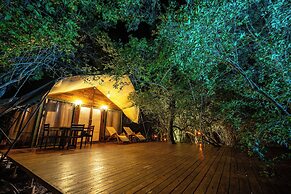 Leopard Reach Yala by Seven Angels