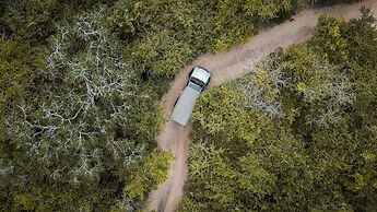 Leopard Reach Yala by Seven Angels