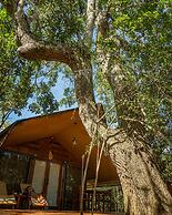 Leopard Reach Yala by Seven Angels