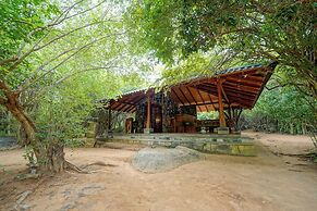 Leopard Reach Yala by Seven Angels