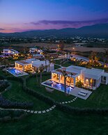 TAF Beach Villas with Tesla