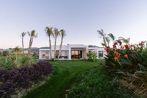 TAF Beach Villas with Tesla