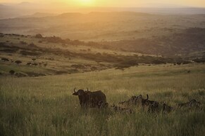 Madwaleni River Lodge - Babanango Game Reserve
