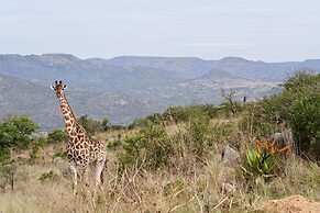 Madwaleni River Lodge - Babanango Game Reserve