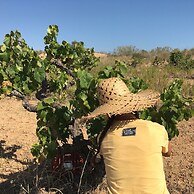 Vi l'Art Wine Lodge - Adults Only