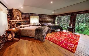 Polylepis Lodge