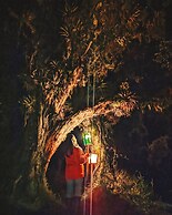 Polylepis Lodge