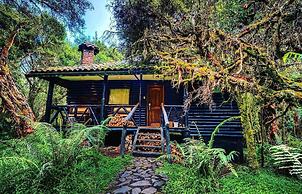 Polylepis Lodge