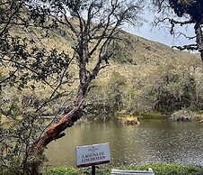 Polylepis Lodge