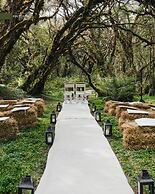 Polylepis Lodge