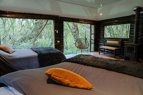 Polylepis Lodge
