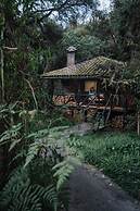 Polylepis Lodge