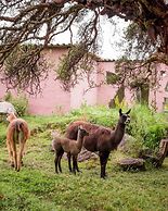 Polylepis Lodge