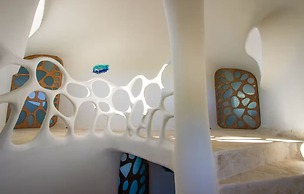 Alterhome Turtle Studio