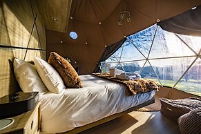Luna Domes