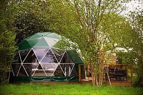 Luna Domes