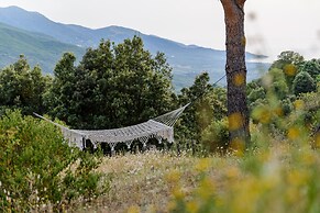 Terre de Maquis