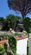 Talia Residence