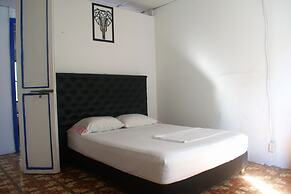MANGO TREE HOSTEL 4 20