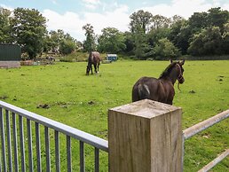 Coed y Glyn Bach Equestrian