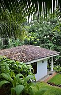 The Jungle Loft - Galle