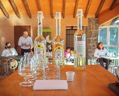 Villlas Mexiko