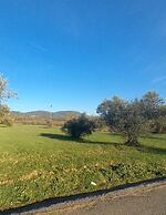 Beautiful 1-bed Cottage in Megalopolis