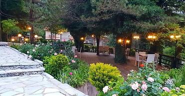 Hotel Alpin
