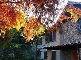 Chill Hill Cottage