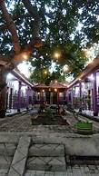 Homestay Sukses Tambora