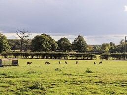The Milking Parlour