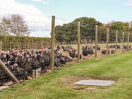 The Milking Parlour