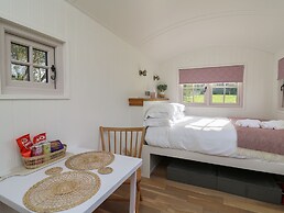 Dragonfly Shepherd's Hut