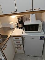 Pet-friendly 4 Bed Apt in Turku With Park Views