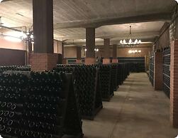 Casa M Vineyard
