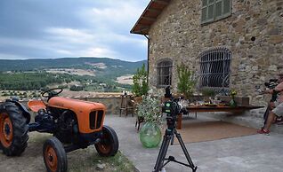 Casa M Vineyard